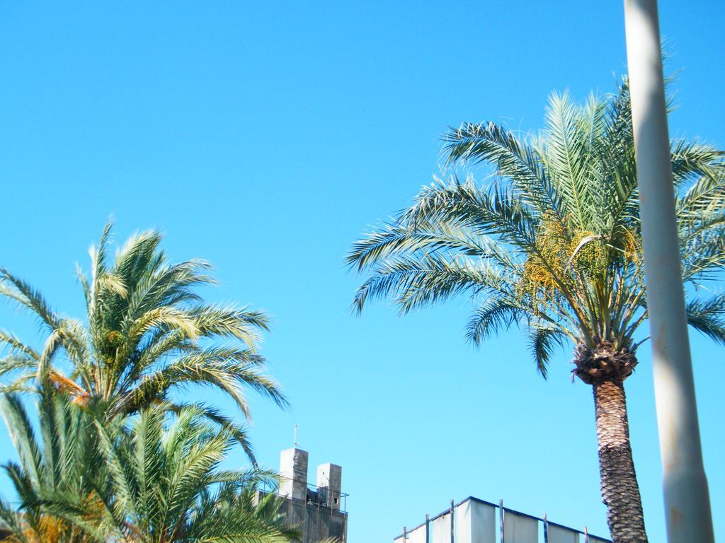 Appartamento Vacanze I Provenzali Bordighera Kültér fotó